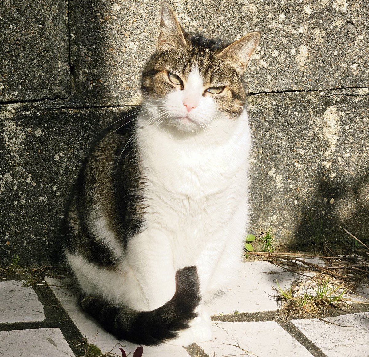 Erwan Courseaux tweet media