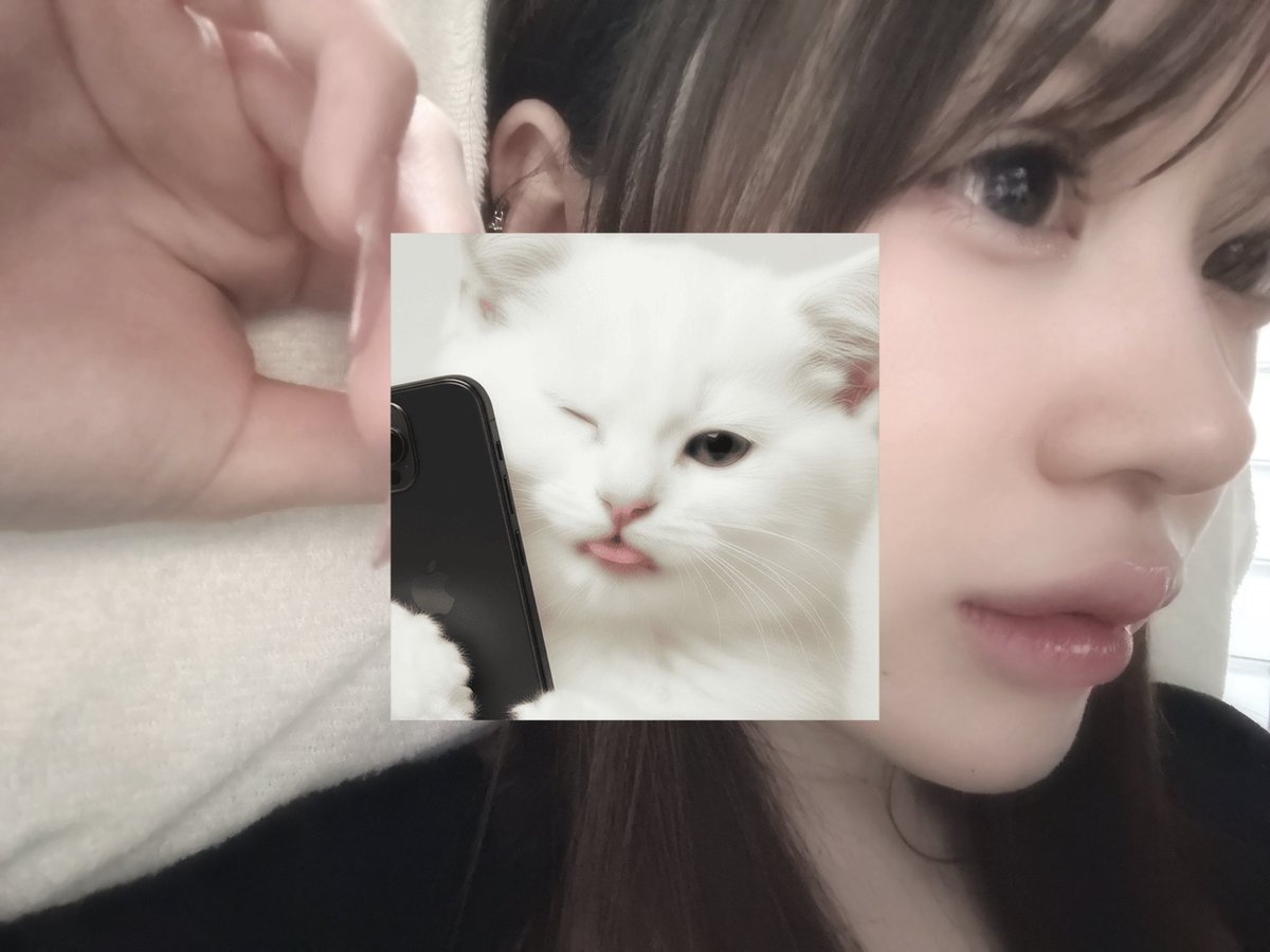 🐈‍⬛ tweet media