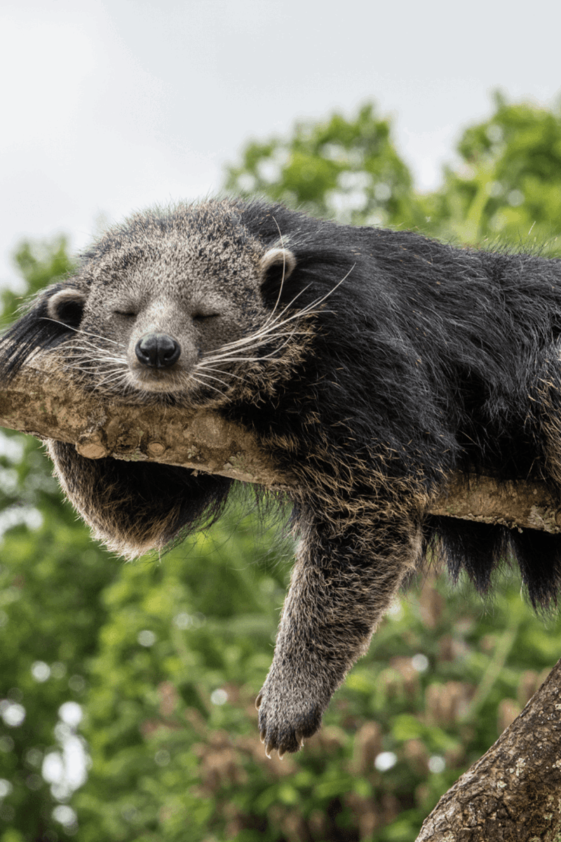 🔮👔 tweet media