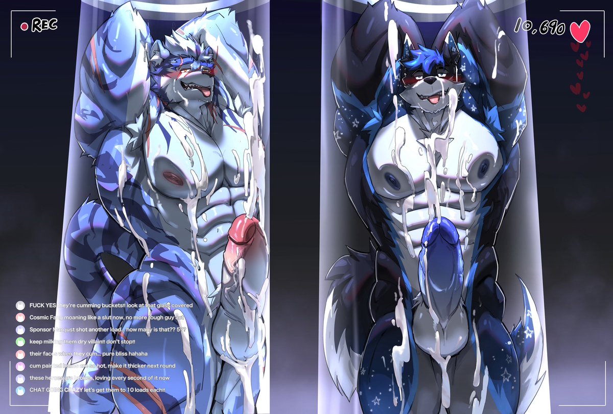 Fluffels 弗尔 tweet media