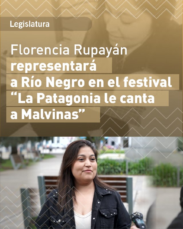 Legislatura de Río Negro tweet media