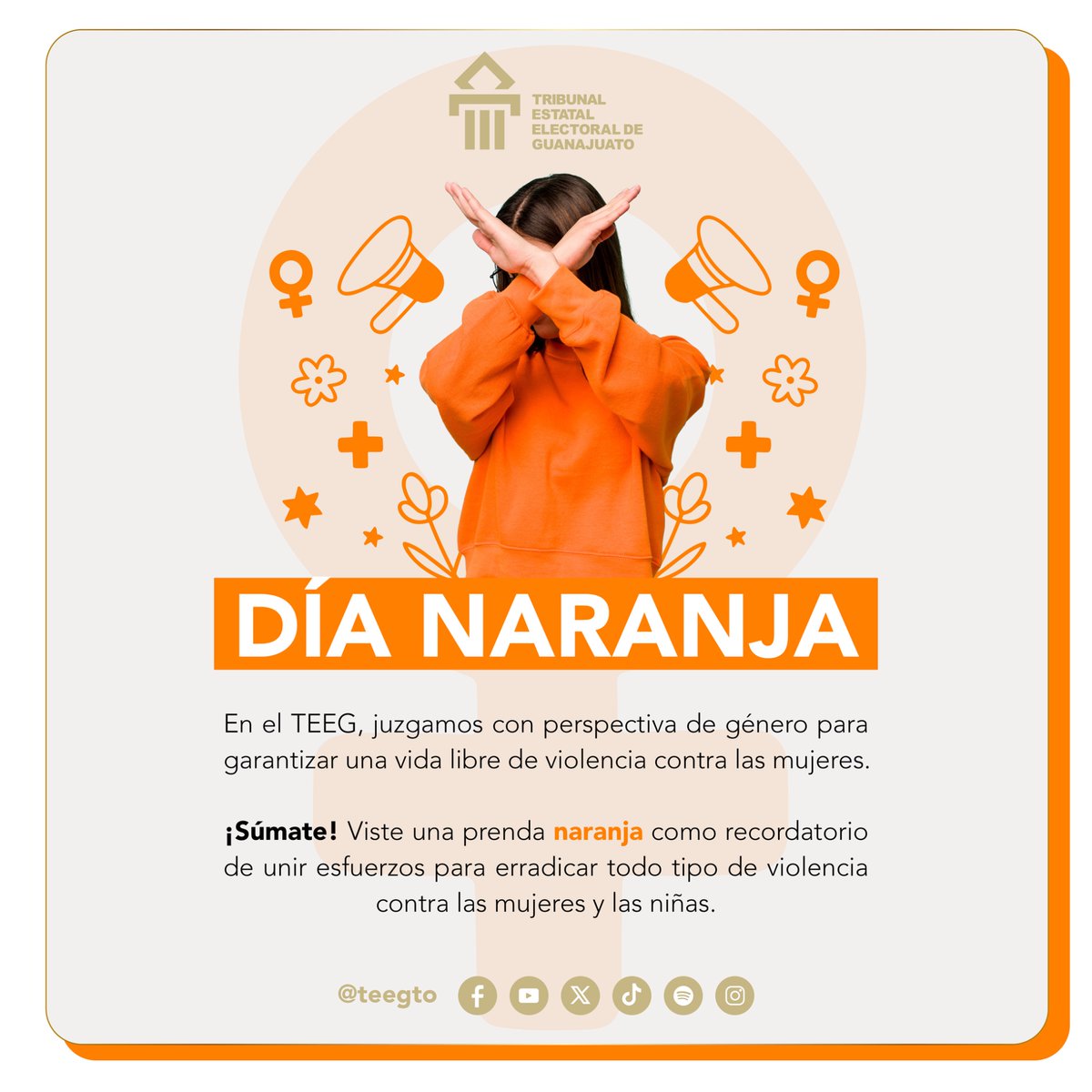 Tribunal Estatal Electoral de Guanajuato tweet media