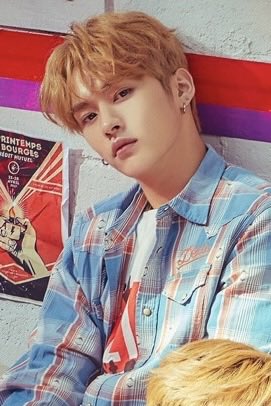 LEE KNOW 리노 JAPAN tweet media