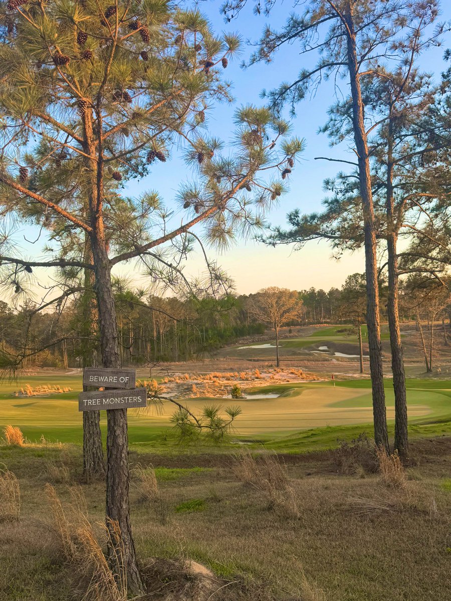 Dale Winslow, CFA tweet media