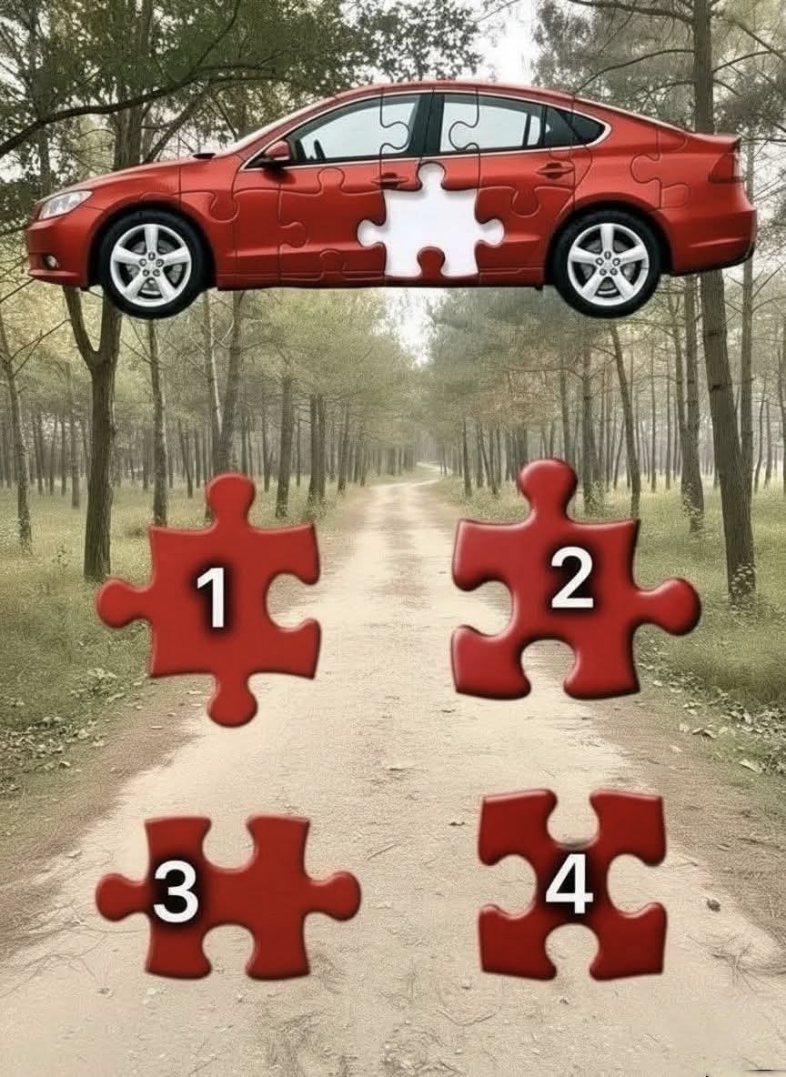 Exnus Protocol tweet media