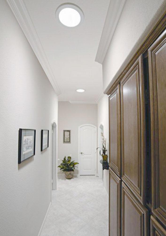 Nené Afonso tweet media