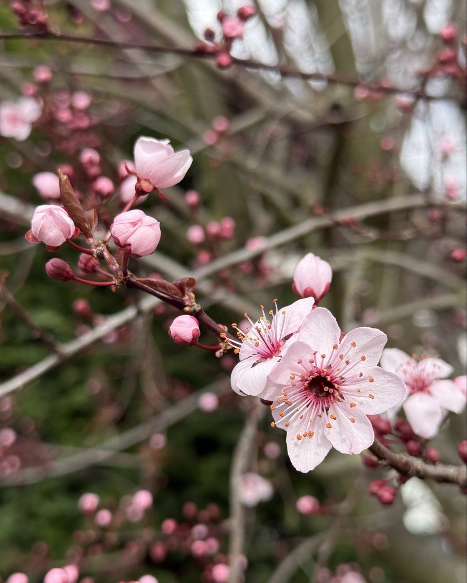 Su73669564's tweet image. I am not monetized on X and I would love to be more visible with my posts from everywhere about everything I am interested in…