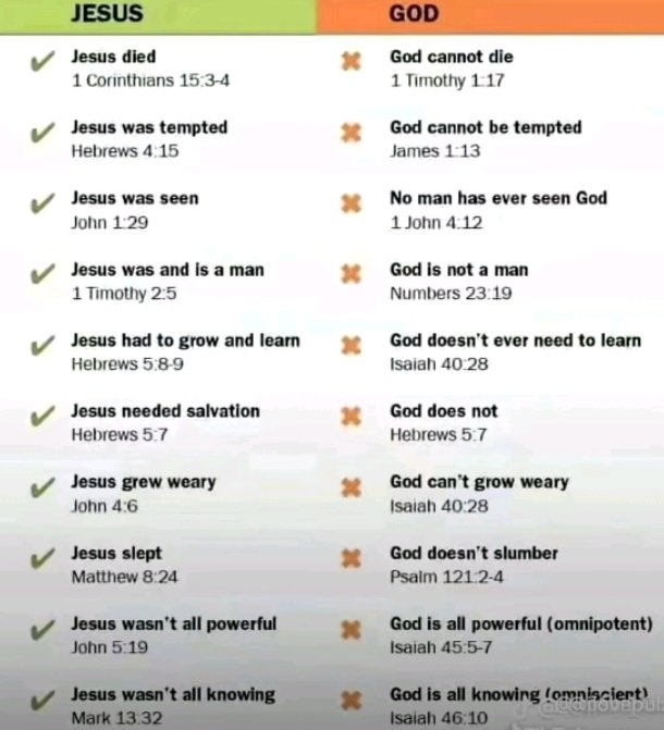 xspezs78 tweet media