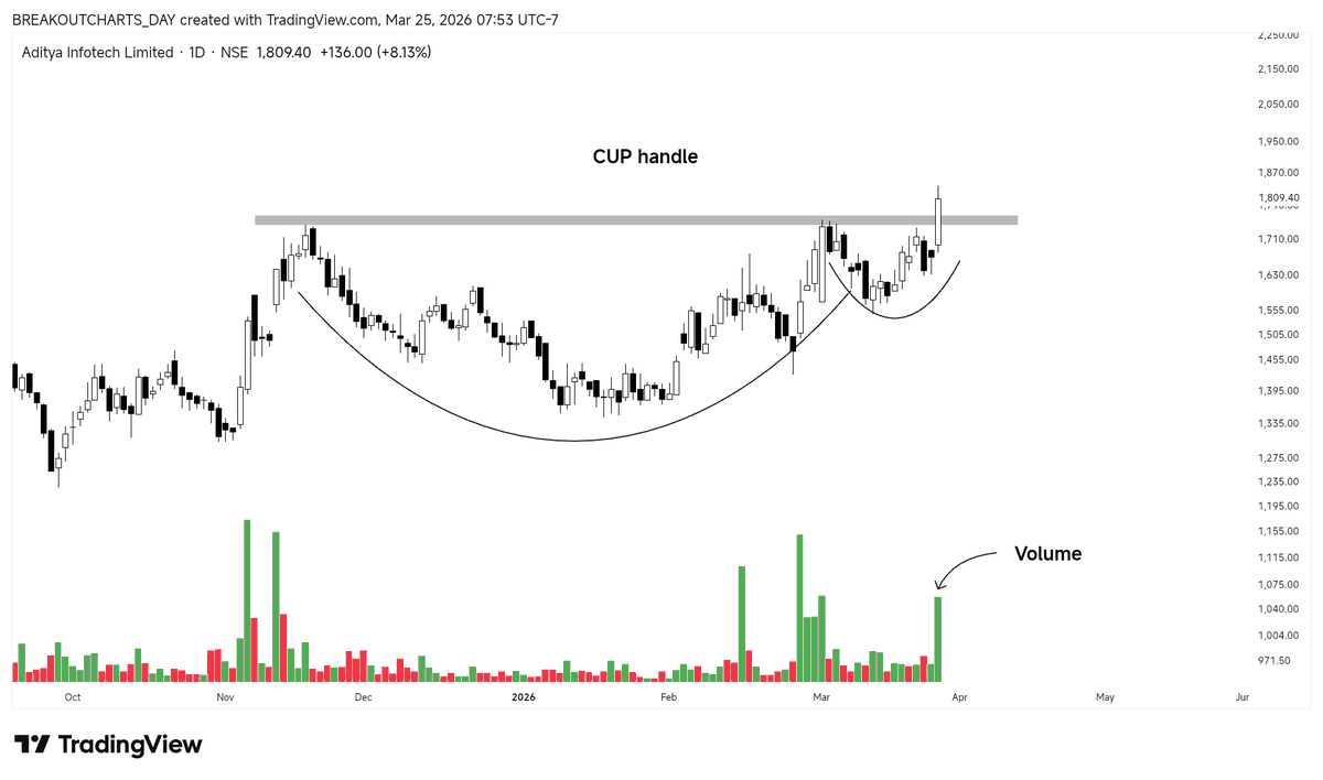 Breakout_Buzz🐦 tweet media