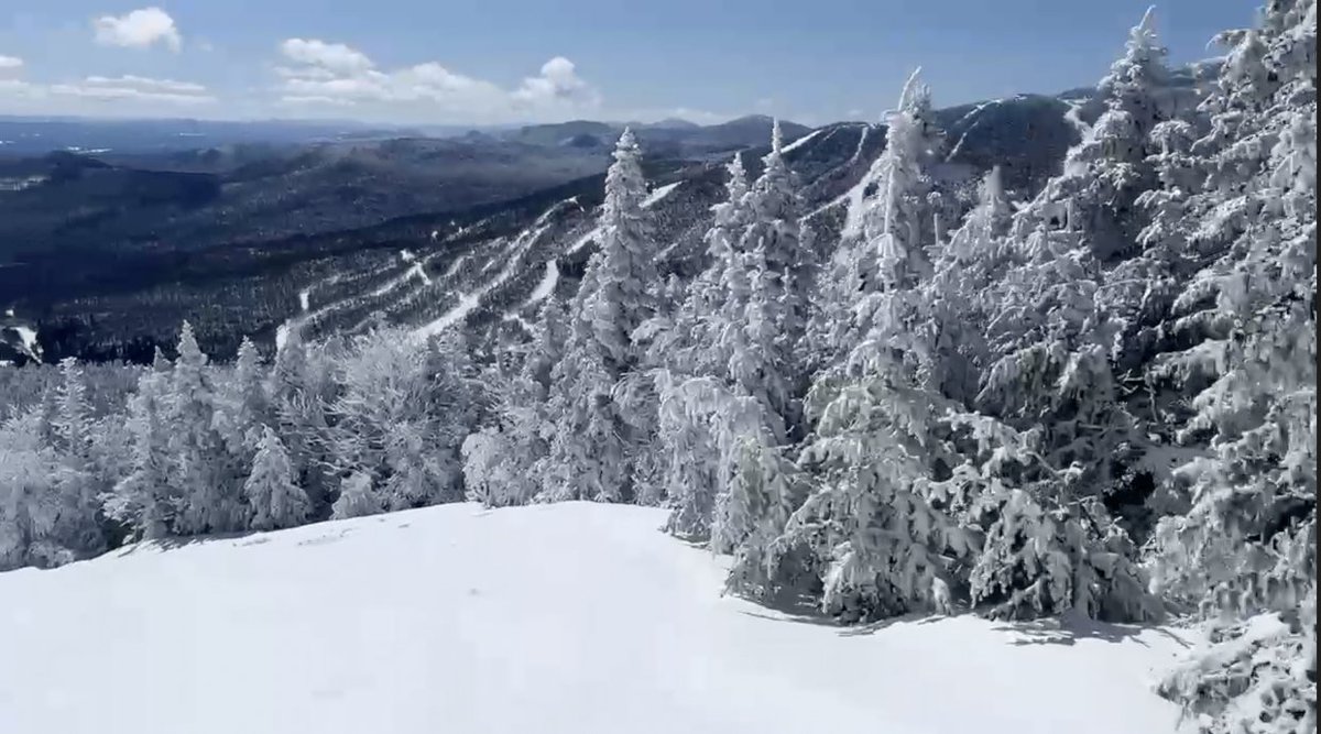 Tim Kelley tweet media