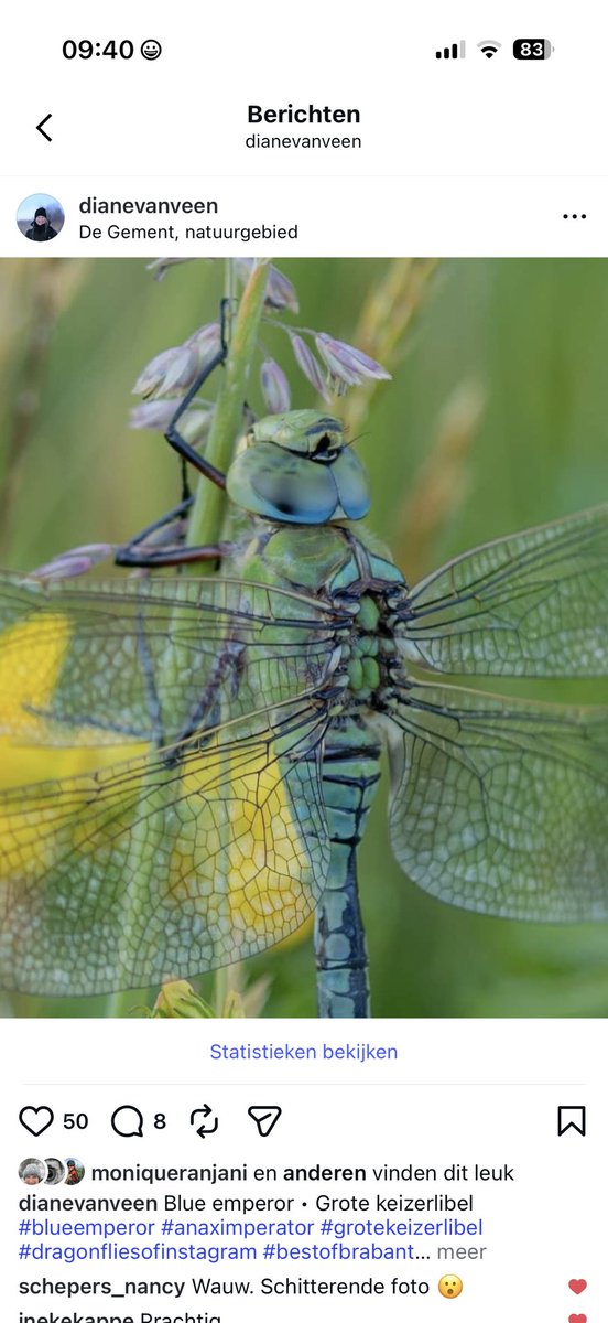 Diane van Veen tweet media