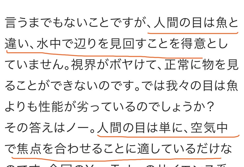 ちょーちゃん🎪🌟5/5.6/28🥓サークル tweet media