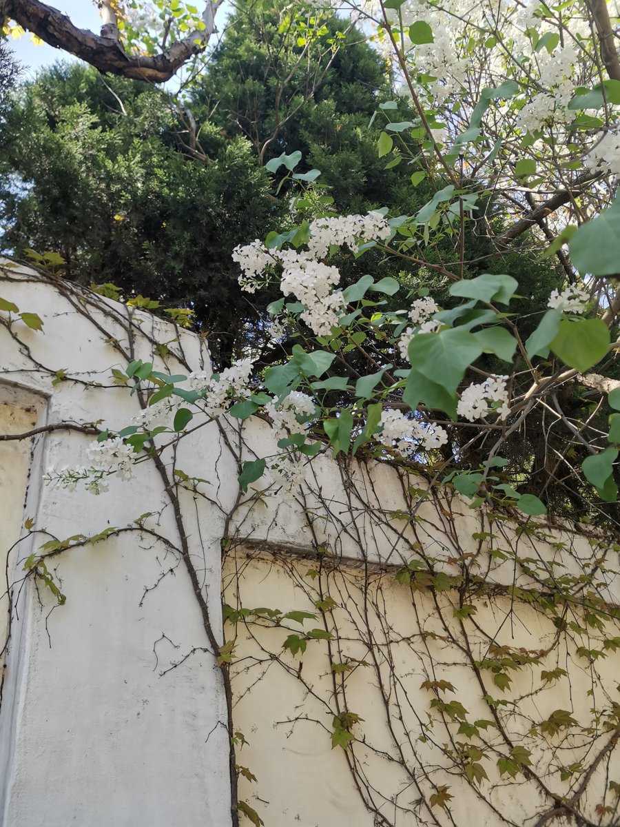 Luke Reyes tweet media