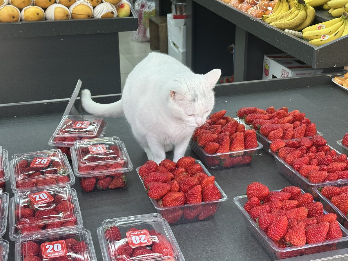 นีนี่ฮุนฮุนเป็นน้องพี่หมี🐻🐱 tweet media