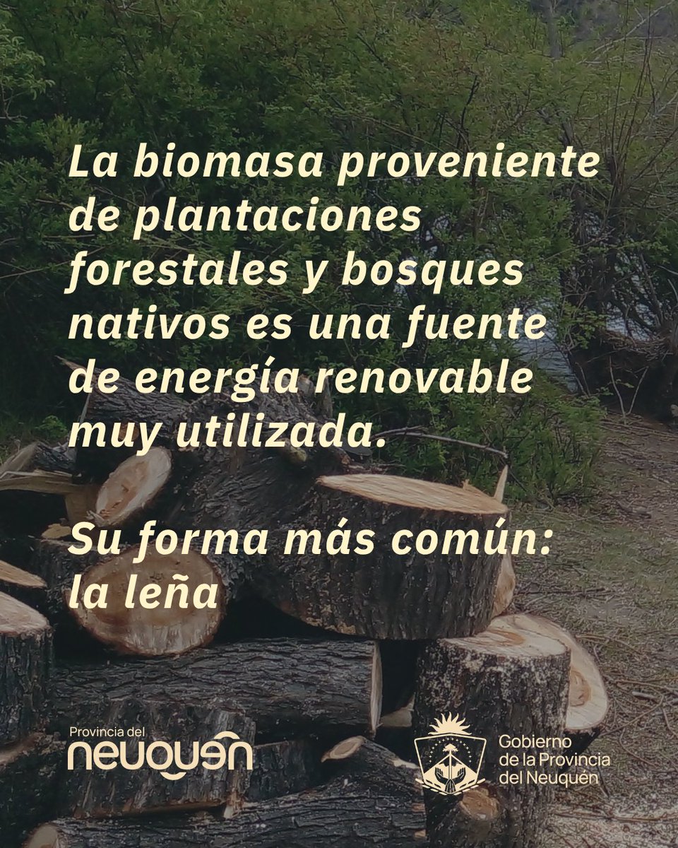 Secretaría de Producción e Industria tweet media