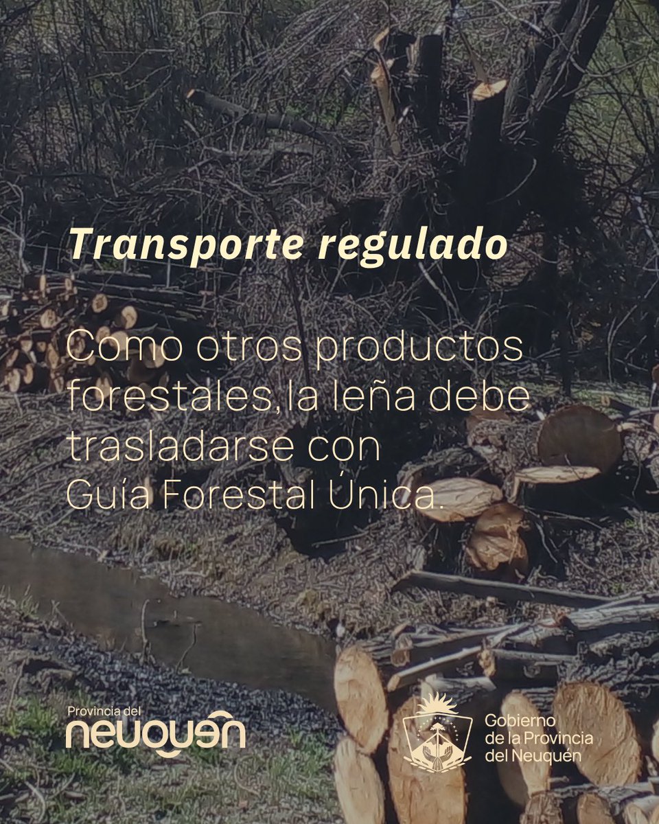 Secretaría de Producción e Industria tweet media