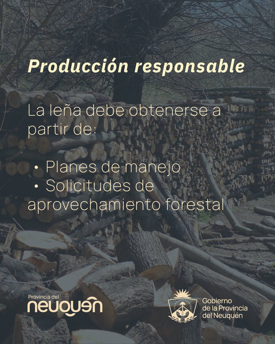 Secretaría de Producción e Industria tweet media