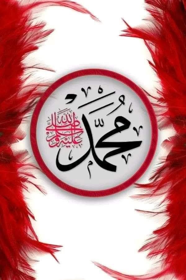 محمد محمد زكريا محمد tweet media