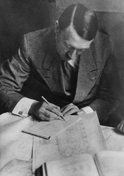 Evangeline D’Arcy tweet media