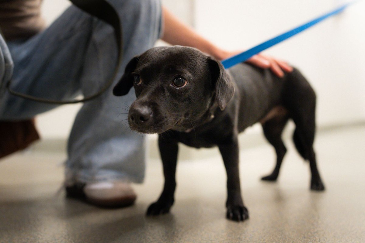 Orlando Informer tweet media