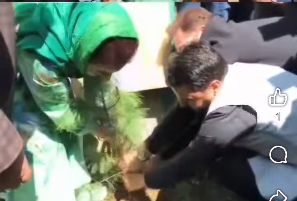 SyedAmjid5's tweet photo. We care!! 
Today, PDP Youth J&amp;K launched a Plantation Drive from Srinagar that will continue across Jammu &amp; Kashmir .Under Mehbooba Mufti Ji’s supervision, we are carrying forward the green vision. https://t.co/55PccVu9iv