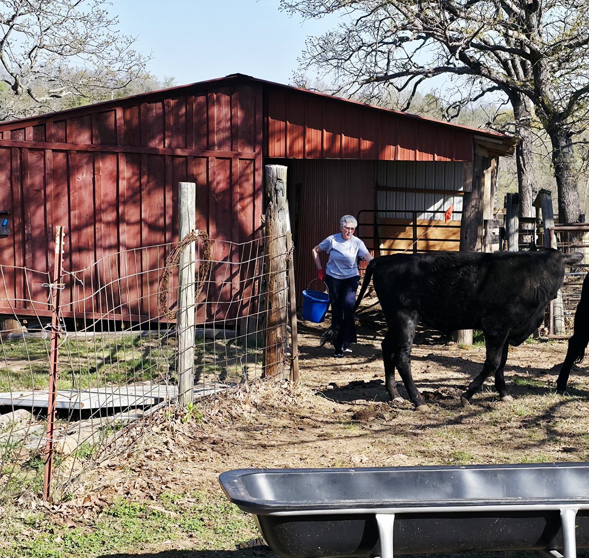 BelovedofGod tweet media