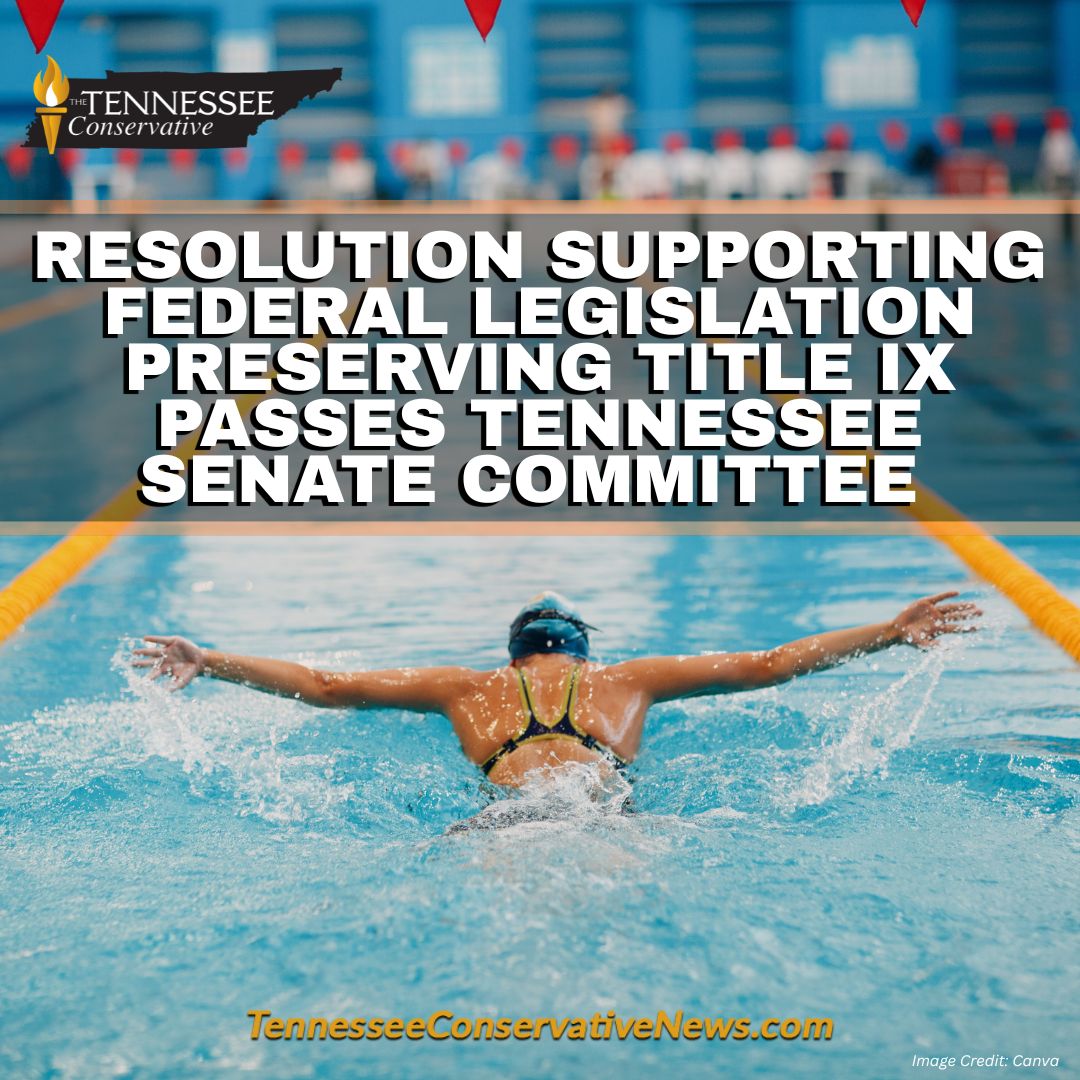 Tennessee Conservative News tweet media