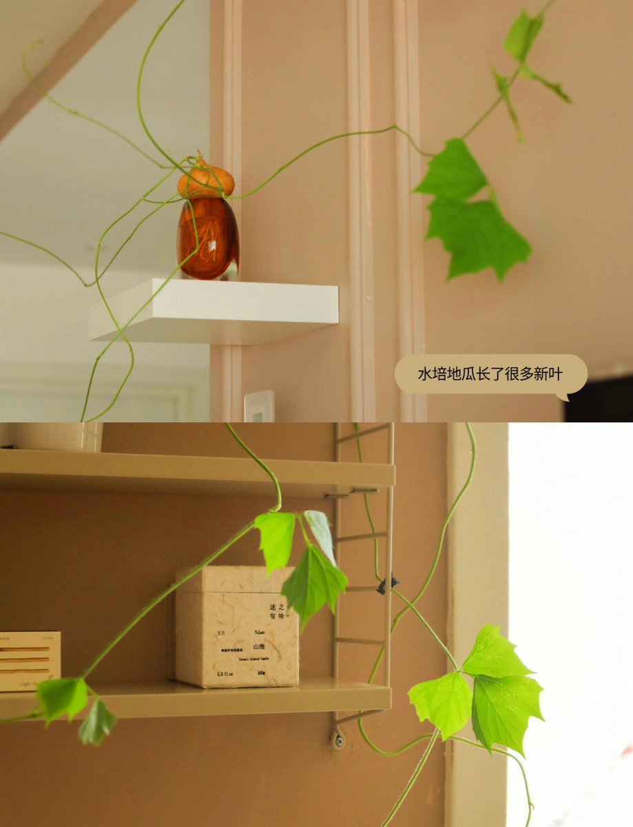 Beverly Brooks tweet media