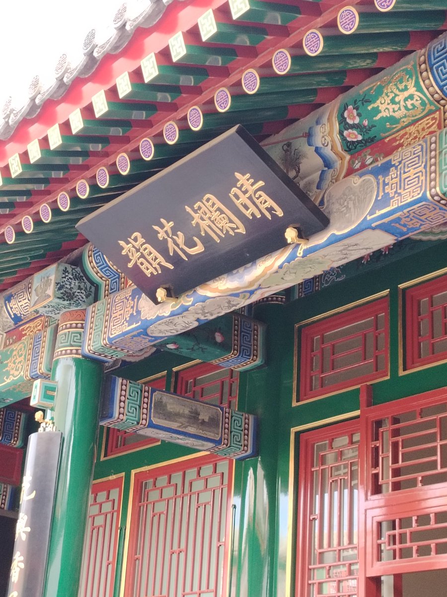 Randy Tichy tweet media