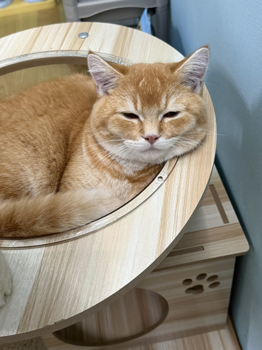 ꒰ nutsup ꒱🍑🐰꒰ twojae ꒱ tweet media