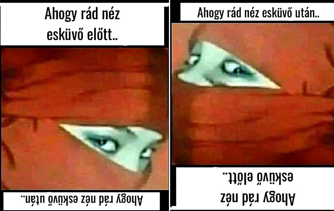 Antal Balogh tweet media