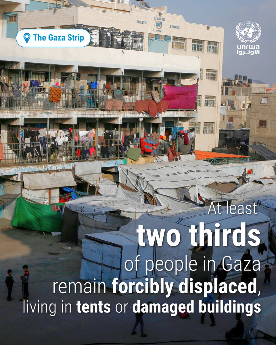 insani_yard's tweet photo. Shelter conditions across the #Gaza Strip remain catastrophic.  🏫🏘️

🚨Over the winter months, #UNRWA site management teams conducted around 6,000 interventions, including distributing tents, tarpaulins, and hygiene kits to thousands of families in need.⛺️

🔗@UNRWA https://t.co/3AkYDcsHrV