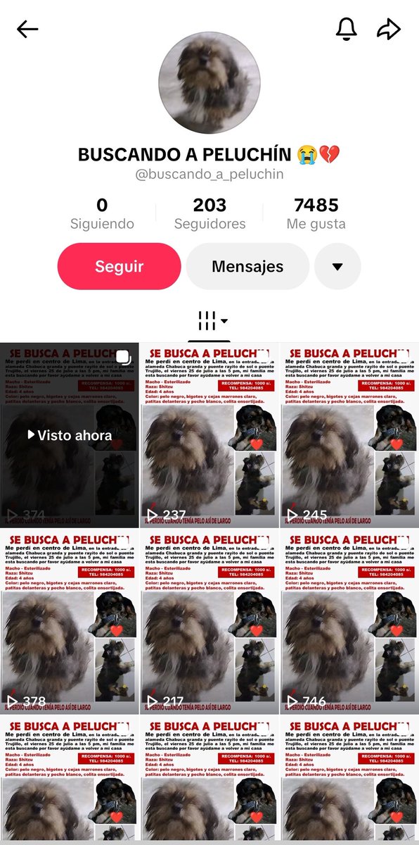 Dane Gámez tweet media