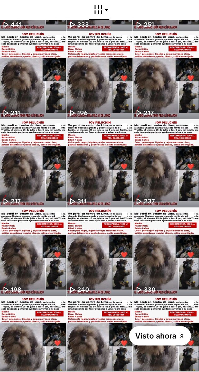 Dane Gámez tweet media