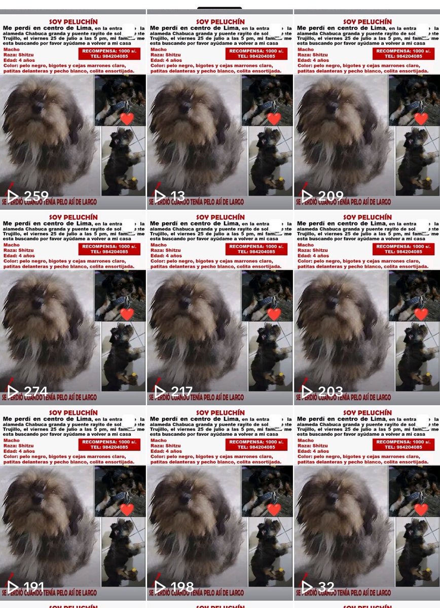 Dane Gámez tweet media