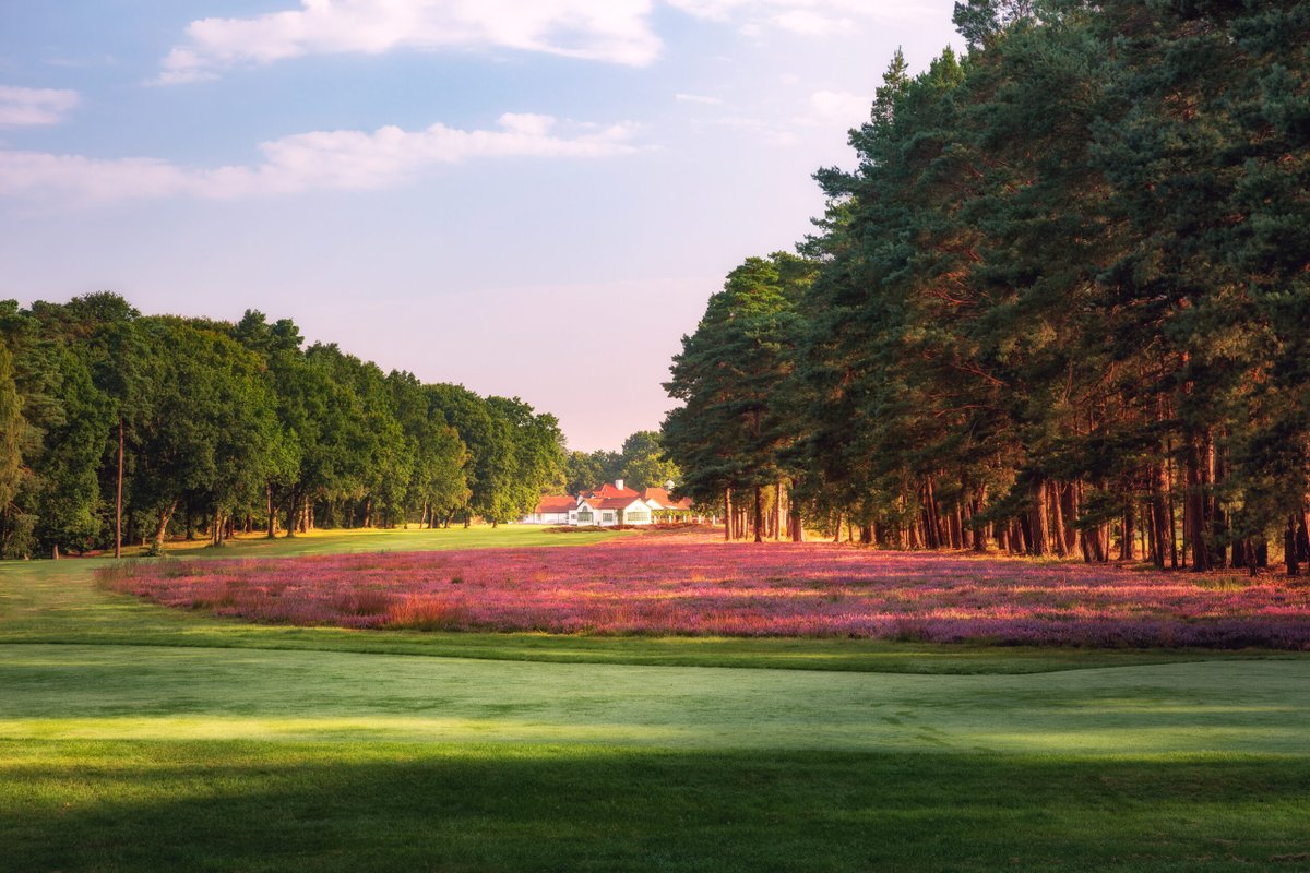 Woking Golf Club tweet media