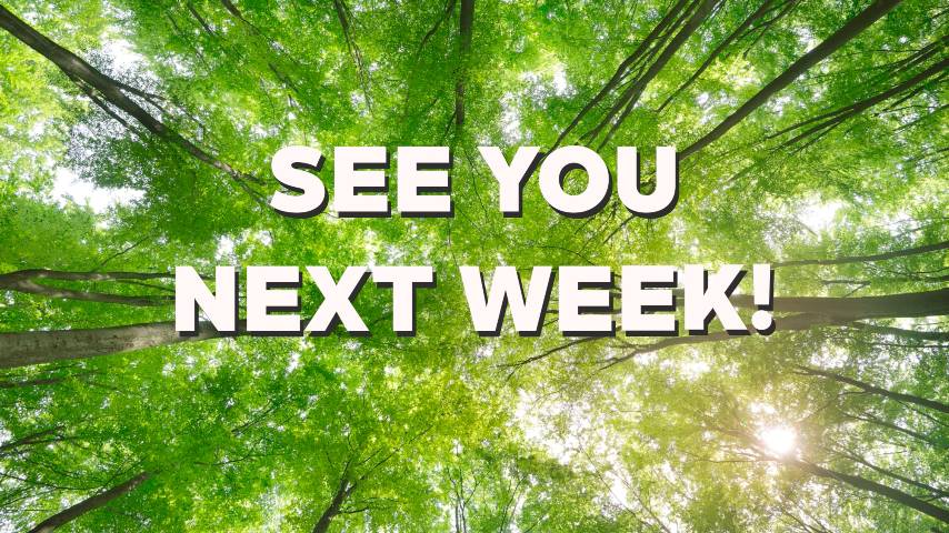 ⚡NiteOwl⚡ ( 🐝, 👹) tweet media