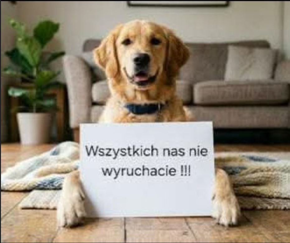 Patryk Ewans 🇵🇱🇺🇸🇻🇦 tweet media