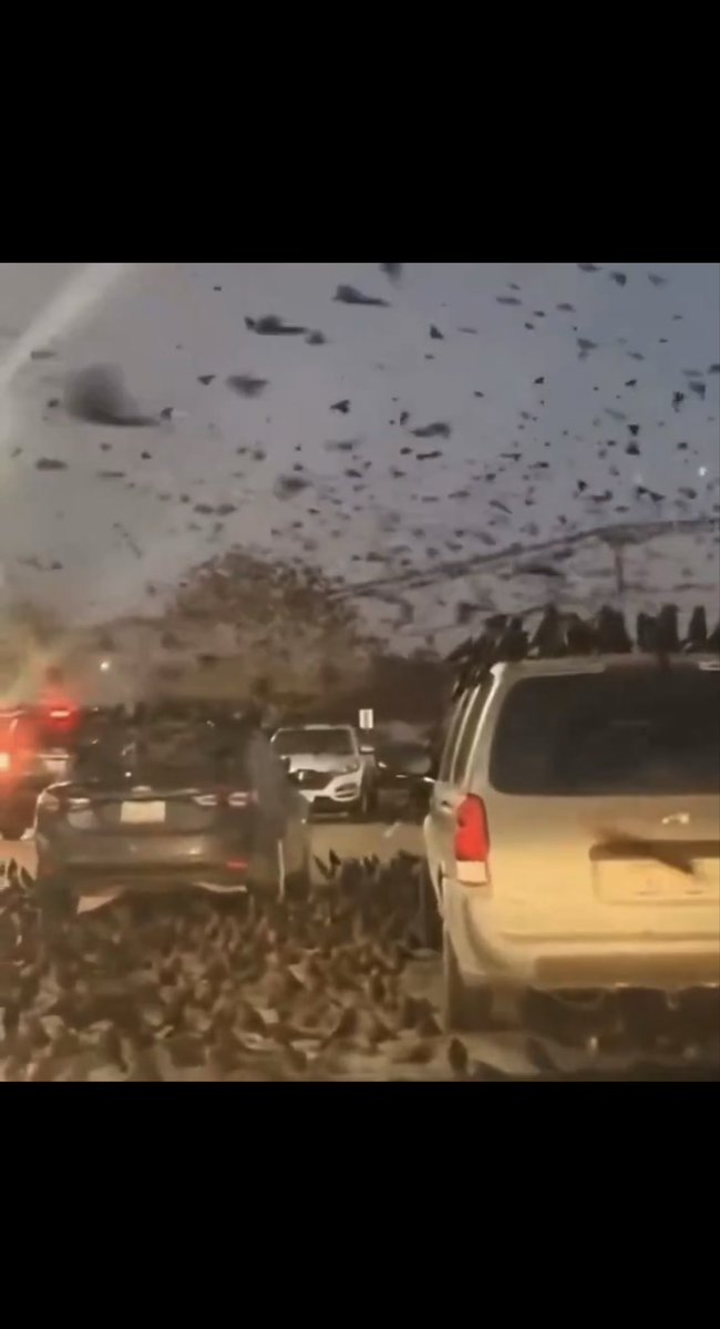 mara is the one 🦑 tweet media