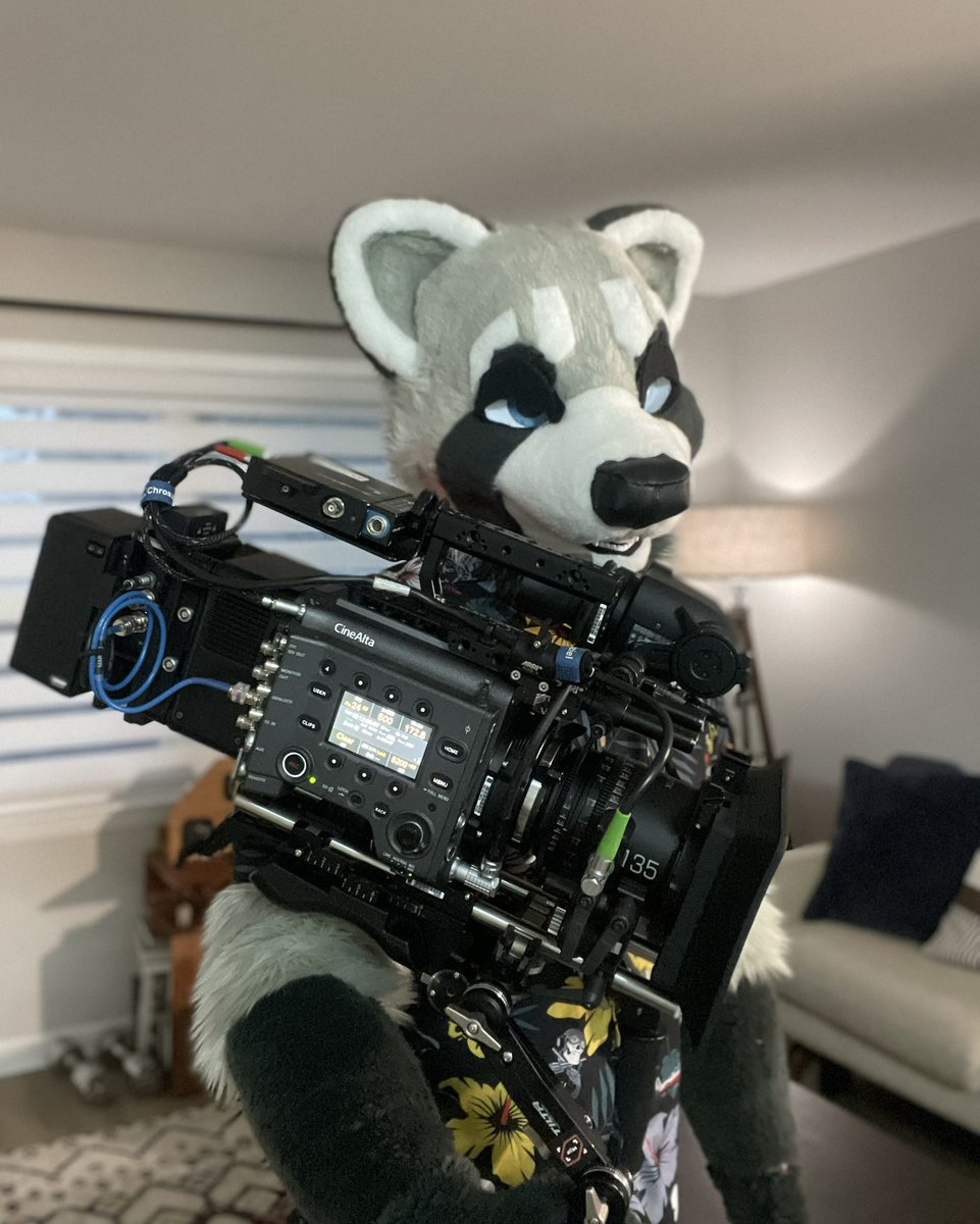 RobertRaccoon 🔜 FWA tweet media