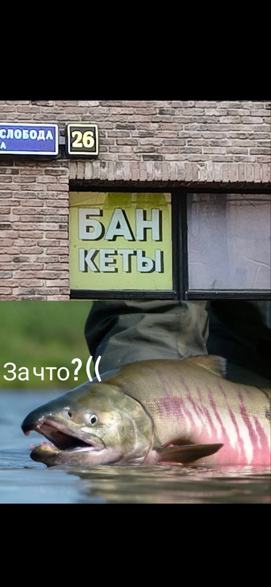 Ребрендинг одного широко известного в узких кругах бренда😂