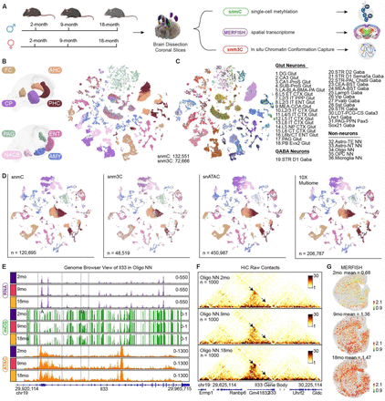 Ruslan Rust tweet media