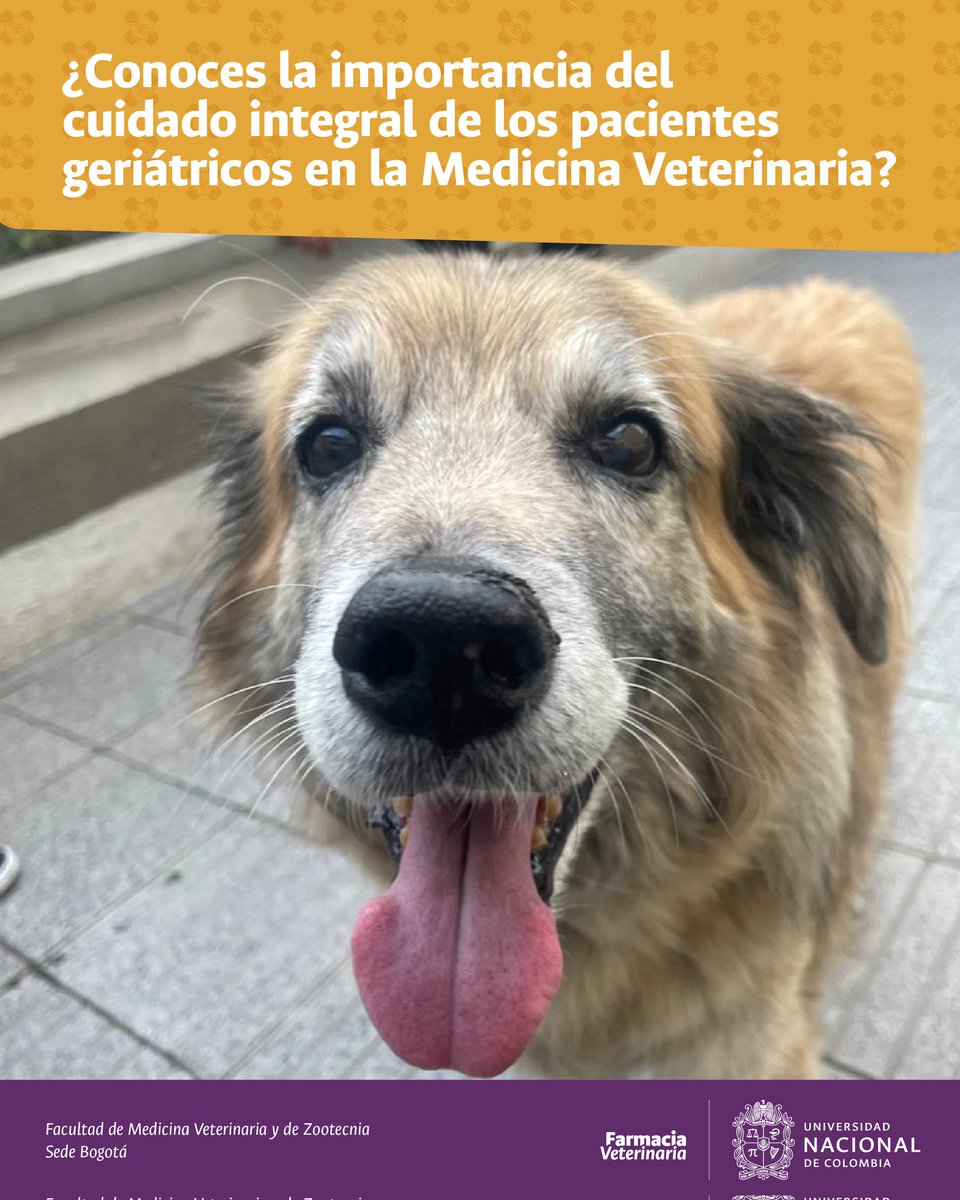 FMVZ UNAL tweet media