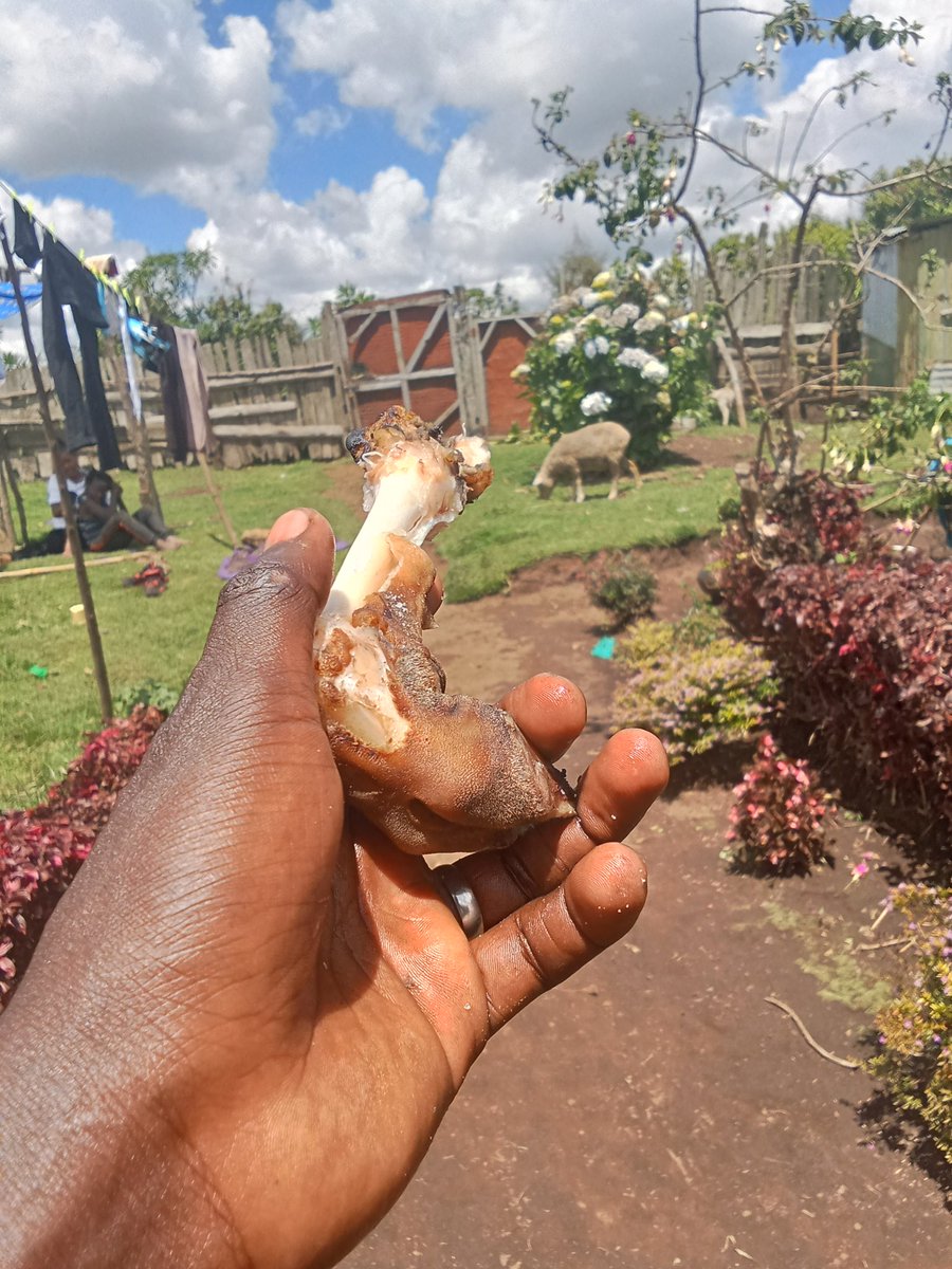 𝕬𝖋𝖗𝖎𝖐𝖆𝖓𝖆 𝖒𝖐™ tweet media