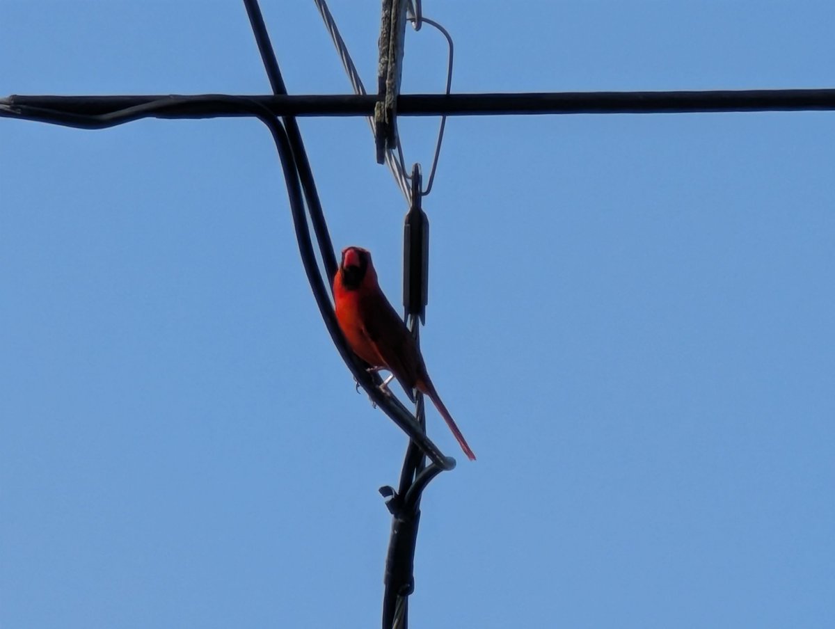 Don S.529 tweet media