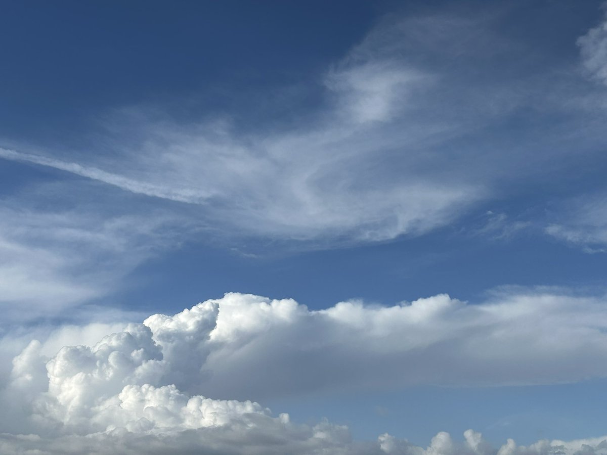 MG-SG769 tweet media