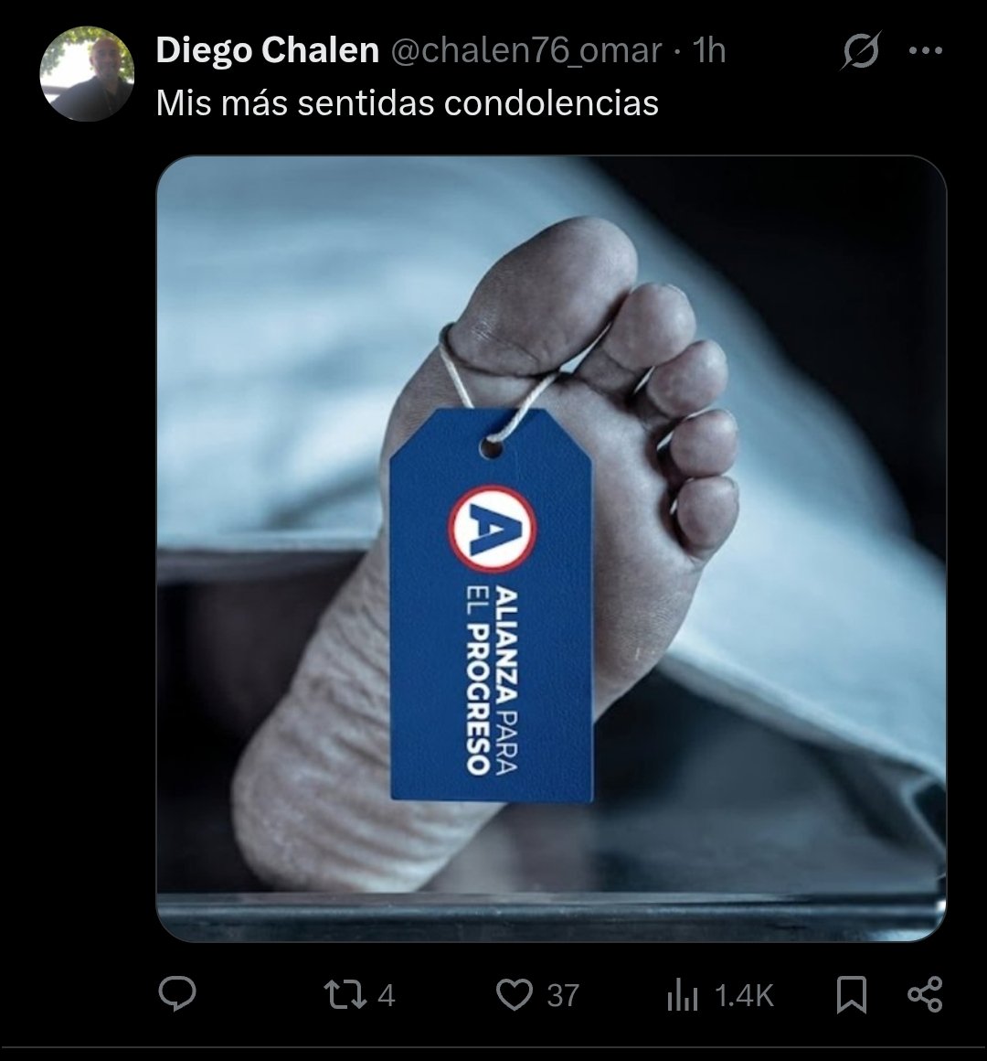 Karinfa4's tweet photo. Me quedo con esta imagen https://t.co/ozxYnf36Vr