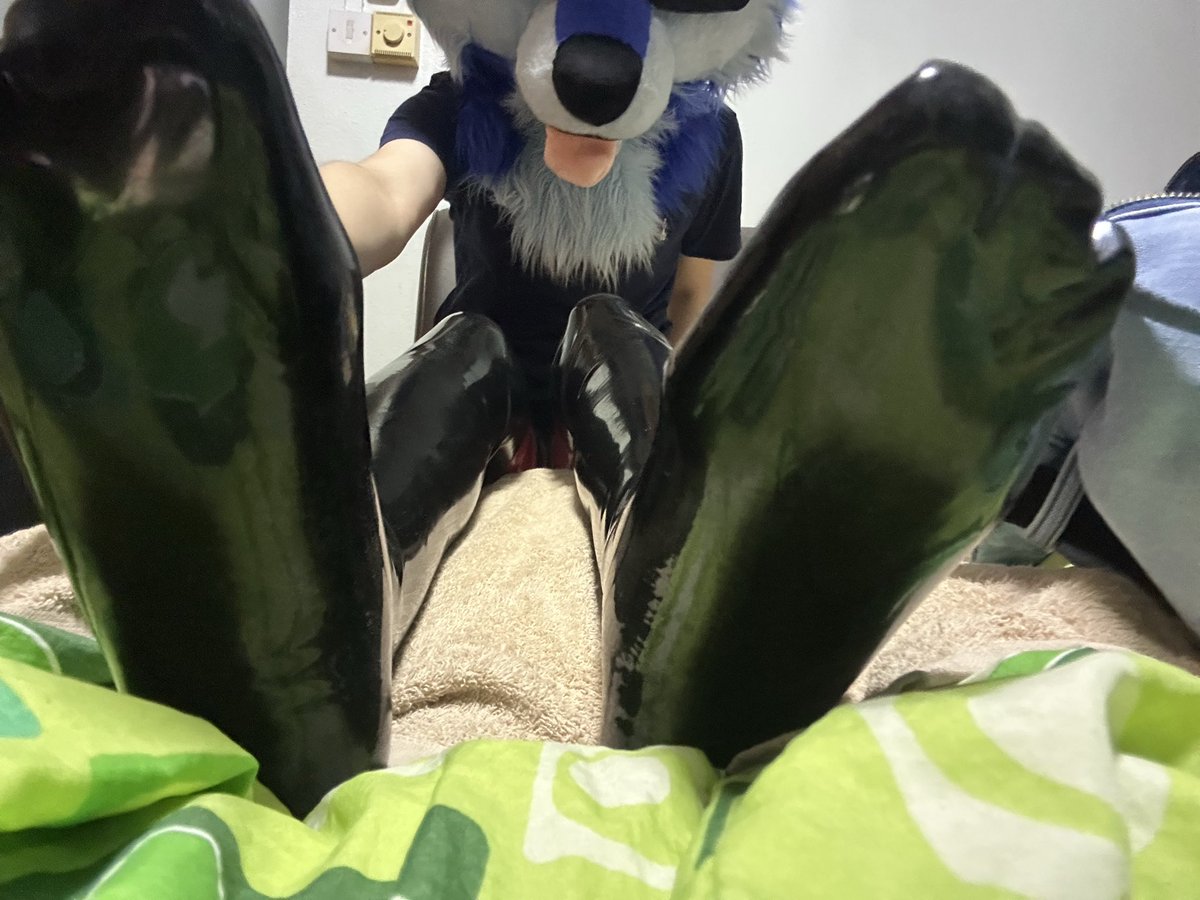 ShinyXeznom 🔙 Thaitails 2026 🔜 MYFur2026 tweet media