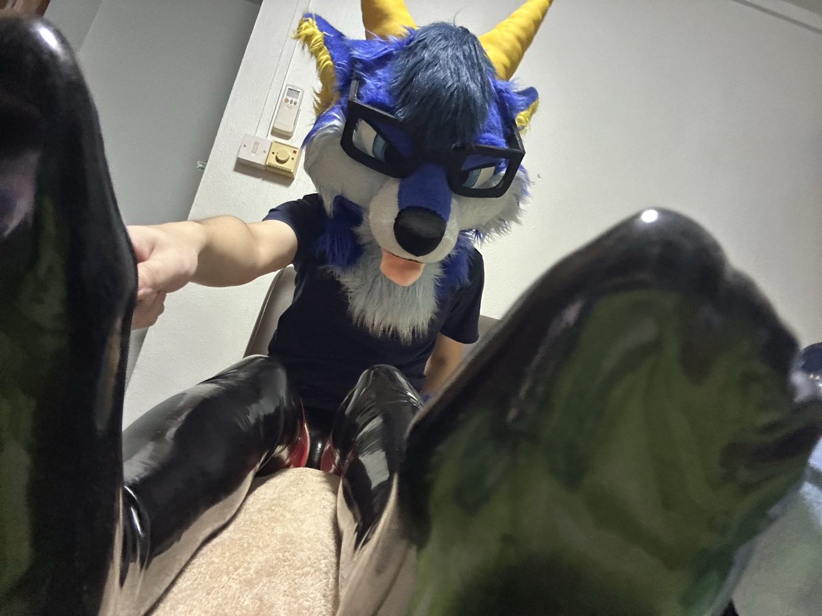 ShinyXeznom 🔙 Thaitails 2026 🔜 MYFur2026 tweet media