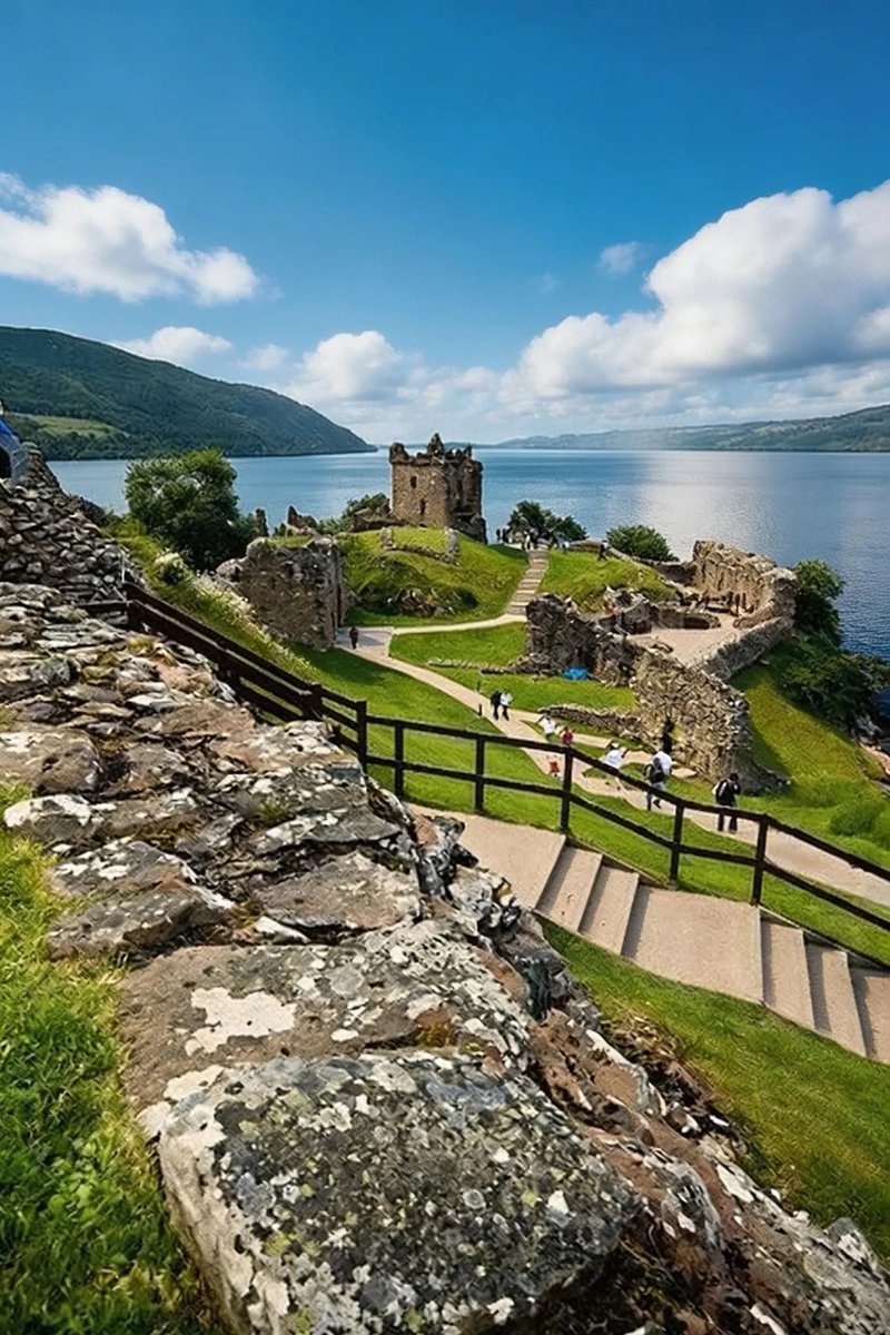 WanderLens tweet media